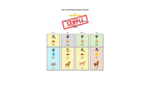 完整个人八字报告
